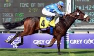 Jockey Christophe Lemaire rides Flotilla to victory in the Breeder's Cup Juvenile Fillies Turf race